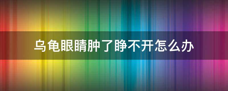 乌龟眼睛肿了睁不开怎么办 乌龟眼睛肿了睁不开怎么办不吃东西