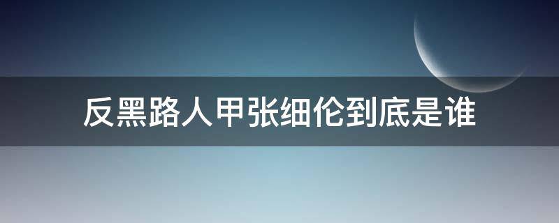 反黑路人甲张细伦到底是谁（反黑路人甲张细伦和高斌）