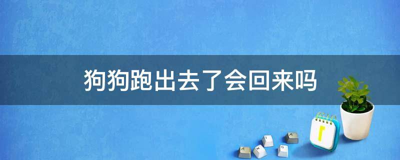 狗狗跑出去了会回来吗 狗跑出来还会回来吗