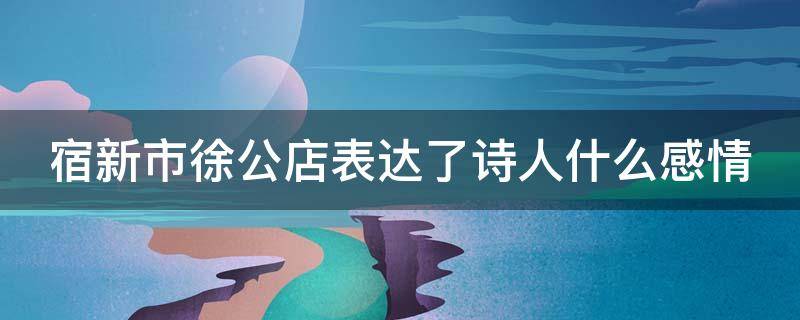 宿新市徐公店表达了诗人什么感情（宿新市徐公店表达了诗人怎么样的思想感情）