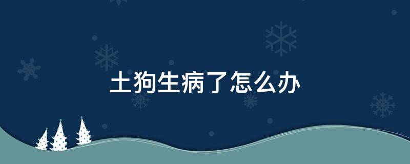 土狗生病了怎么办 狗生病了有什么土方法