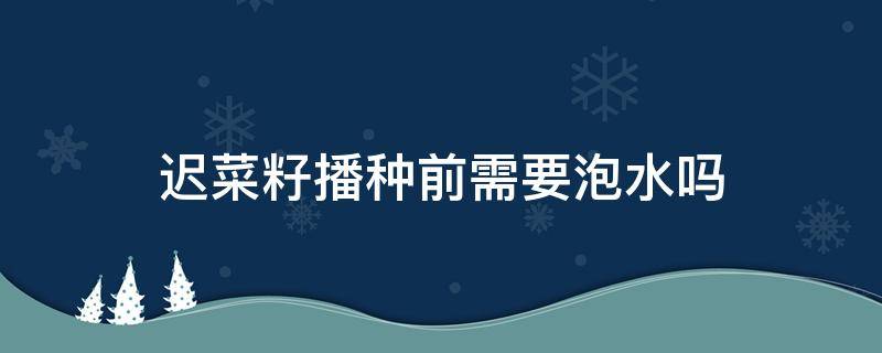 迟菜籽播种前需要泡水吗 菜籽播种后需要及时浇水吗