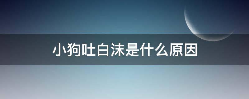 小狗吐白沫是什么原因（小狗吐白沫是什么原因造成的 没有吃东西）