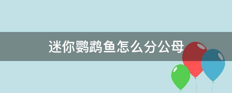 迷你鹦鹉鱼怎么分公母（迷你鹦鹉鱼怎么分公母?）