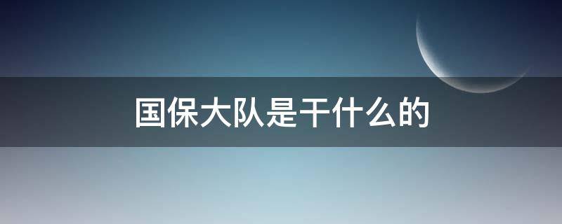 国保大队是干什么的（公安局国保大队是干什么的）