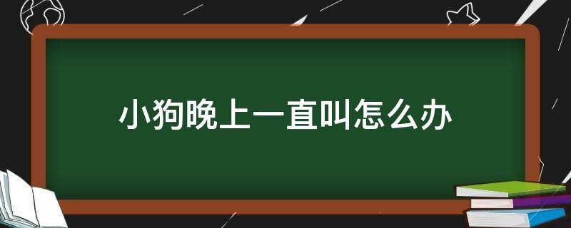 小狗晚上一直叫怎么办（幼犬晚上叫个不停怎么办）