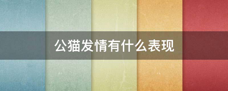 公猫发情有什么表现 公猫不绝育怎么防止乱尿