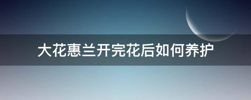 大花惠兰开完花后如何养护 大花蕙兰怎么养才能开花