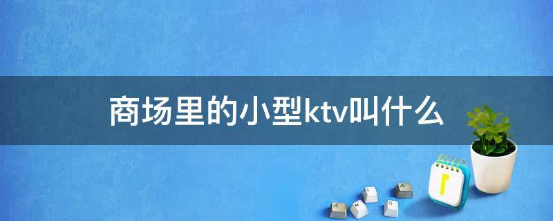 商场里的小型ktv叫什么（那种小型ktv叫什么）