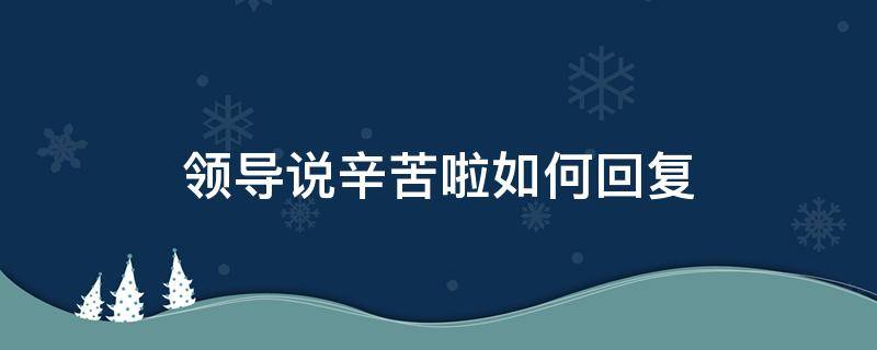 领导说辛苦啦如何回复（领导说辛苦了,怎么回复）