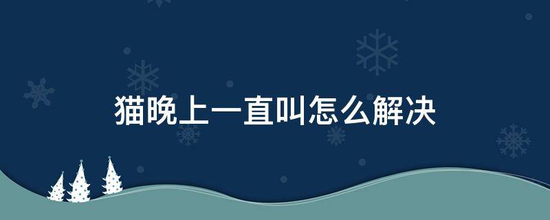 猫晚上一直叫怎么解决 晚上猫一直叫怎么回事