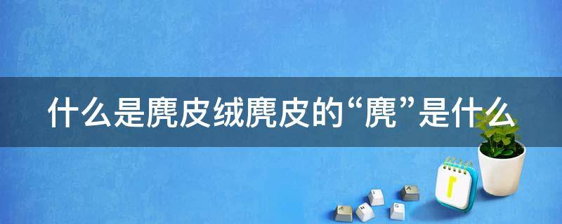 什么是麂皮绒麂皮的“麂”是什么（麂皮绒是什么面料好吗）