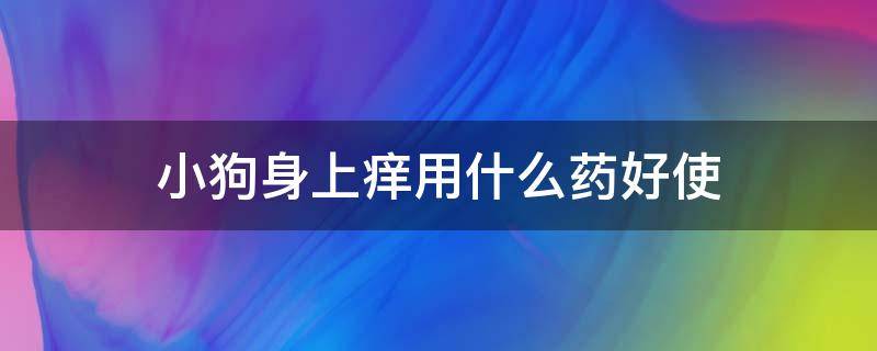 小狗身上痒用什么药好使 小狗狗身上痒用什么药