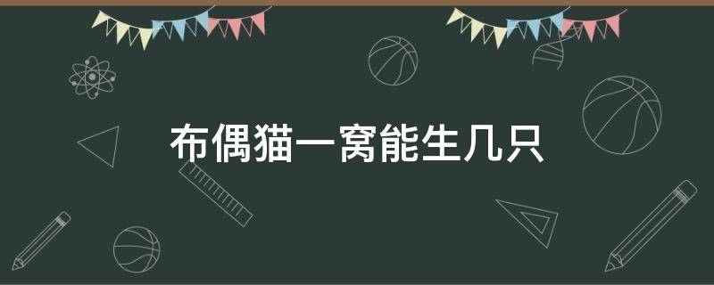 布偶猫一窝能生几只 布偶猫一窝能生几只母猫