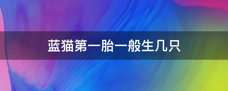 蓝猫第一胎一般生几只 蓝猫一年生几胎