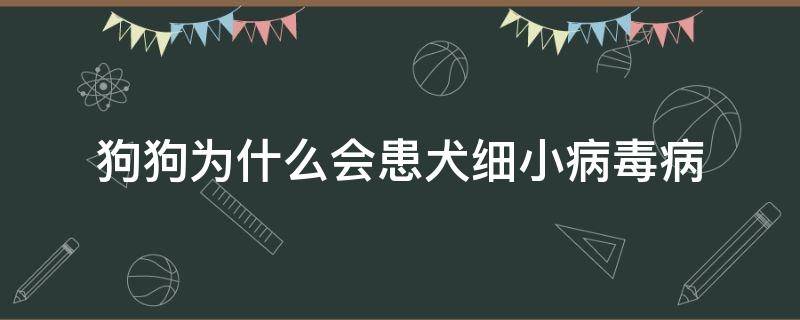 狗狗为什么会患犬细小病毒病 犬细小病毒发病原因