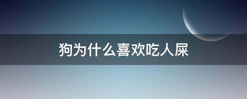 狗为什么喜欢吃人屎（狗为啥喜欢吃人屎）