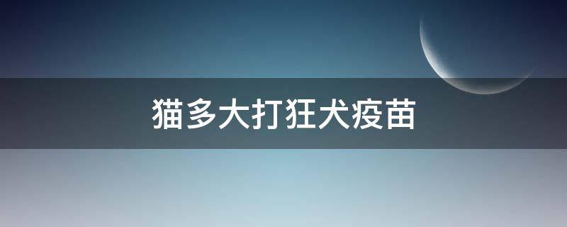 猫多大打狂犬疫苗 猫多大打狂犬疫苗多少钱一针