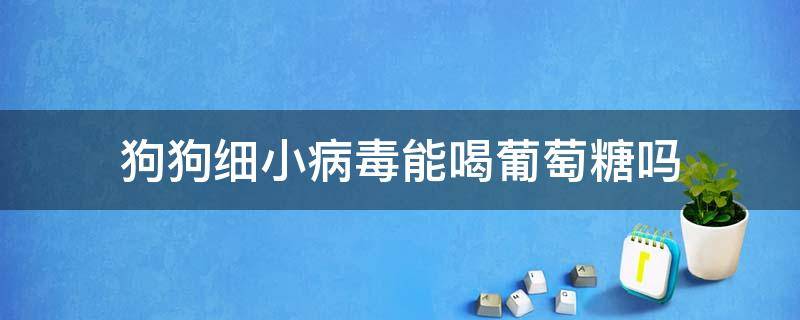 狗狗细小病毒能喝葡萄糖吗 狗感染了细小病毒可以吃葡萄糖吗