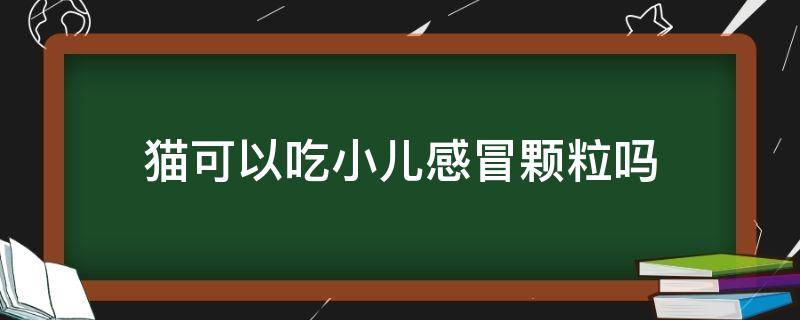 猫可以吃小儿感冒颗粒吗 猫咪感冒喂小儿感冒颗粒