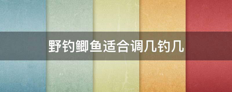 野钓鲫鱼适合调几钓几 冬季钓鲫鱼调几钓几