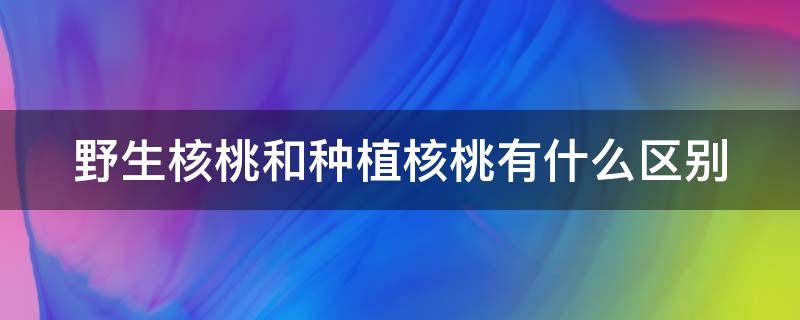 野生核桃和种植核桃有什么区别（野生核桃与种植核桃的区别）