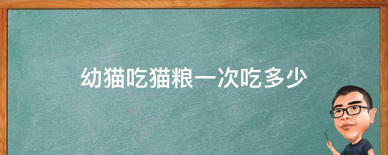 幼猫吃猫粮一次吃多少 幼猫吃猫粮一次吃多少咬的响