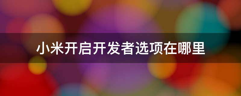 小米开启开发者选项在哪里 小米在哪里打开开发者选项