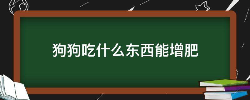 狗狗吃什么东西能增肥 狗子增肥应该吃什么