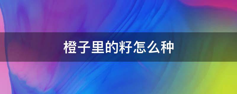 橙子里的籽怎么种 橙子的籽如何种