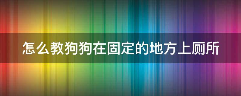 怎么教狗狗在固定的地方上厕所（怎么教狗在固定的地方大小便）