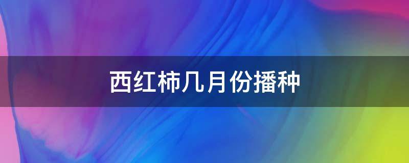 西红柿几月份播种（北方露天西红柿几月份播种）