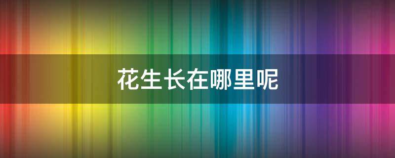 花生长在哪里呢 花生长在哪里?