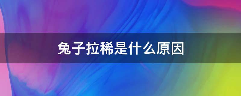 兔子拉稀是什么原因 兔子拉稀是什么原因产生的小视频