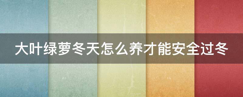 大叶绿萝冬天怎么养才能安全过冬 大叶绿萝冬天的养殖方法和注意事项