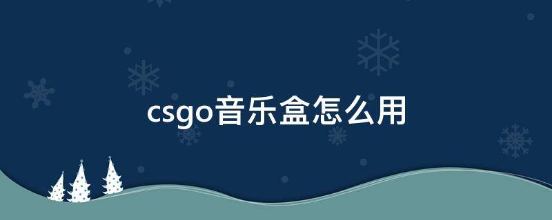 csgo音乐盒怎么用（csgo音乐盒怎么用不了）