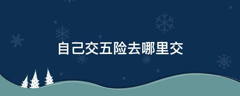 自己交五险去哪里交 自己交五险一金去哪里交