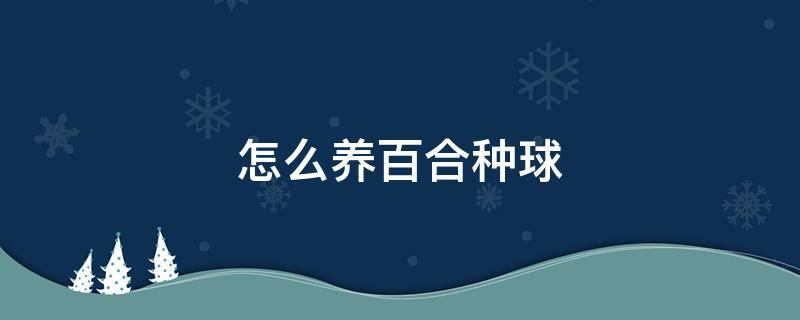 怎么养百合种球 如何养百合花种球