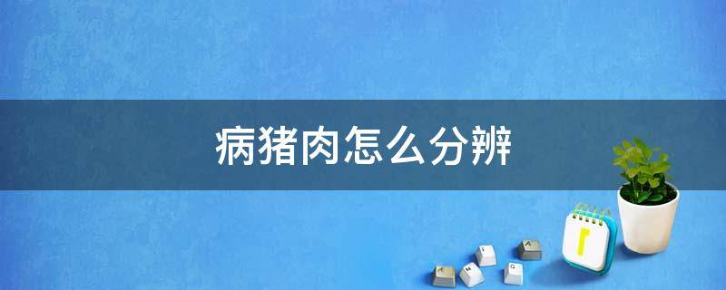 病猪肉怎么分辨 如何辨别病猪肉