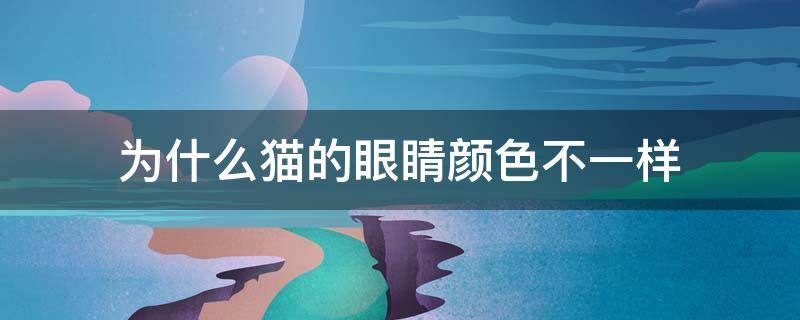 为什么猫的眼睛颜色不一样 为啥猫的眼睛颜色不一样