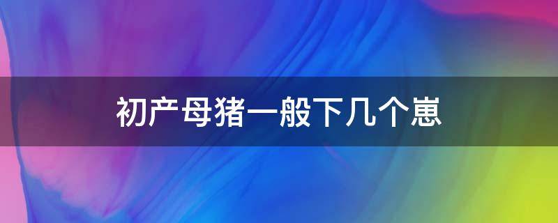 初产母猪一般下几个崽 母猪多少个月下崽