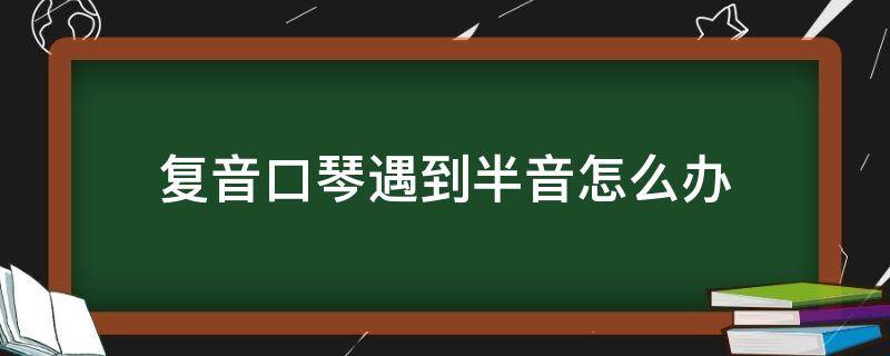 复音口琴遇到半音怎么办 复音口琴有半音吗