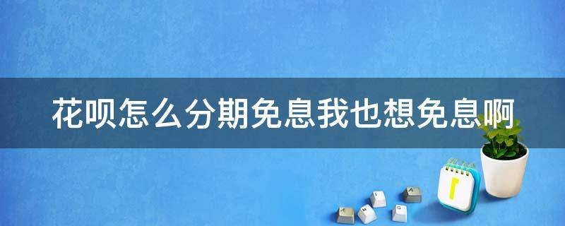 花呗怎么分期免息我也想免息啊（花呗付款怎么分期免息）