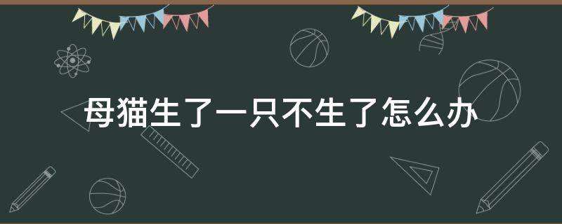 母猫生了一只不生了怎么办（母猫生了一只不生了怎么办,没有宫缩）