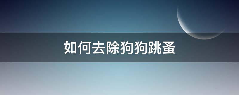 如何去除狗狗跳蚤 狗狗跳蚤怎么彻底消灭,怎么去除跳蚤