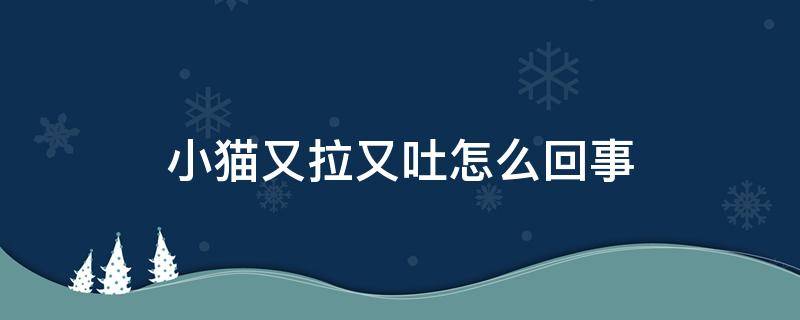 小猫又拉又吐怎么回事（小猫又拉又吐是怎么回事）