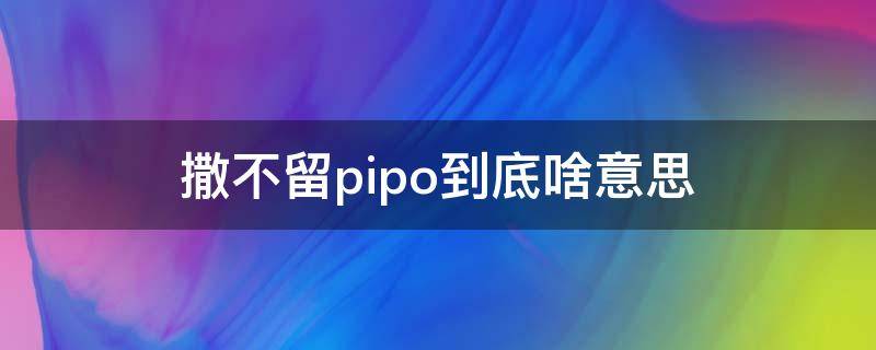 撒不留pipo到底啥意思 撒不丢pipo