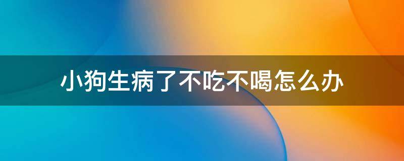 小狗生病了不吃不喝怎么办（小狗生病不吃饭怎么办）