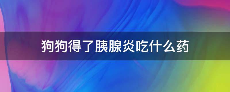 狗狗得了胰腺炎吃什么药 狗狗得了胰腺炎吃什么药能好