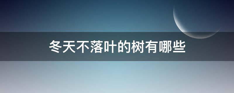 冬天不落叶的树有哪些 冬天不落叶的树有哪些最佳答案